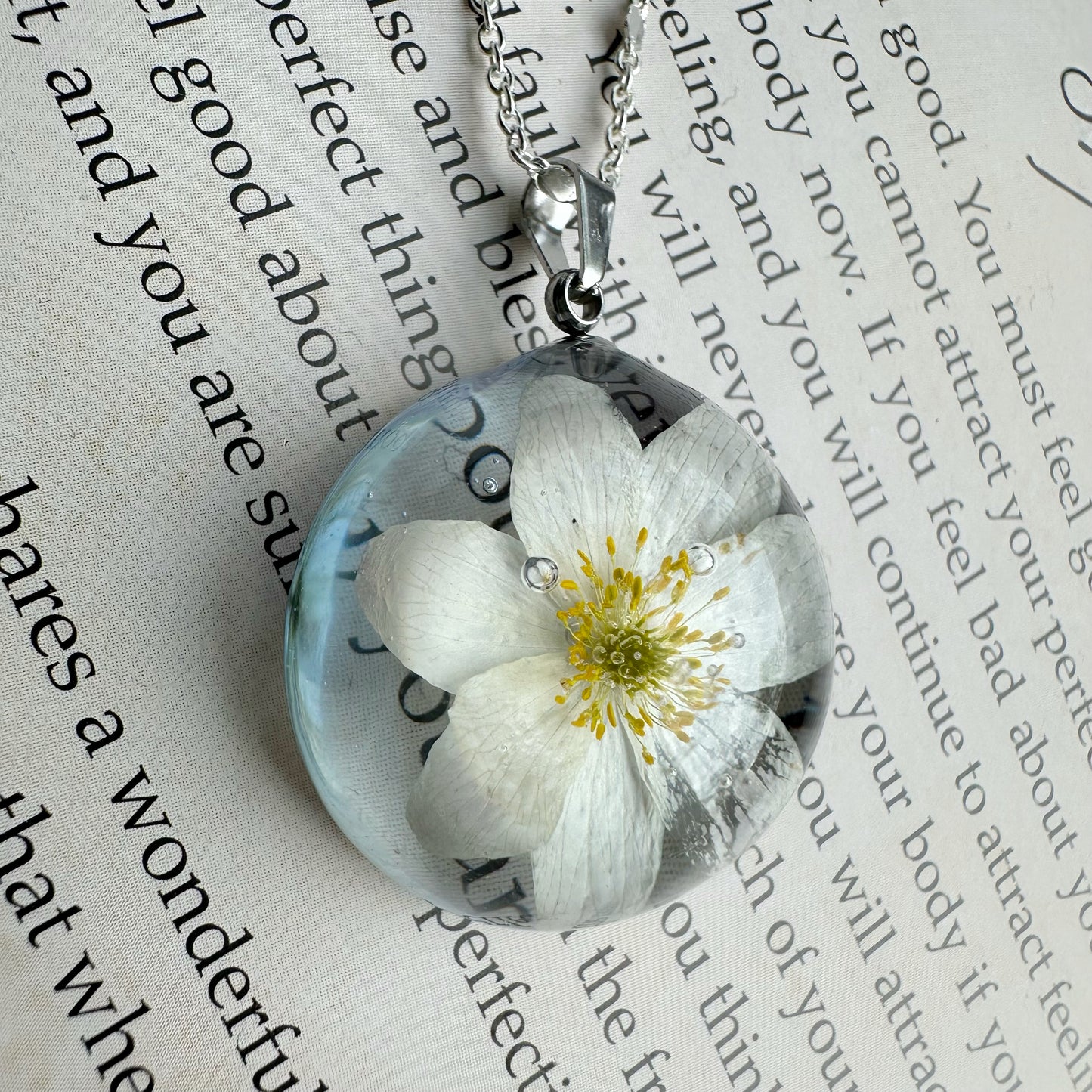 Komplekts | Ūdensrozes