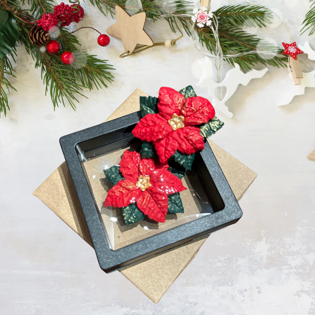 Ziemassvētku piespraude | Puansentija