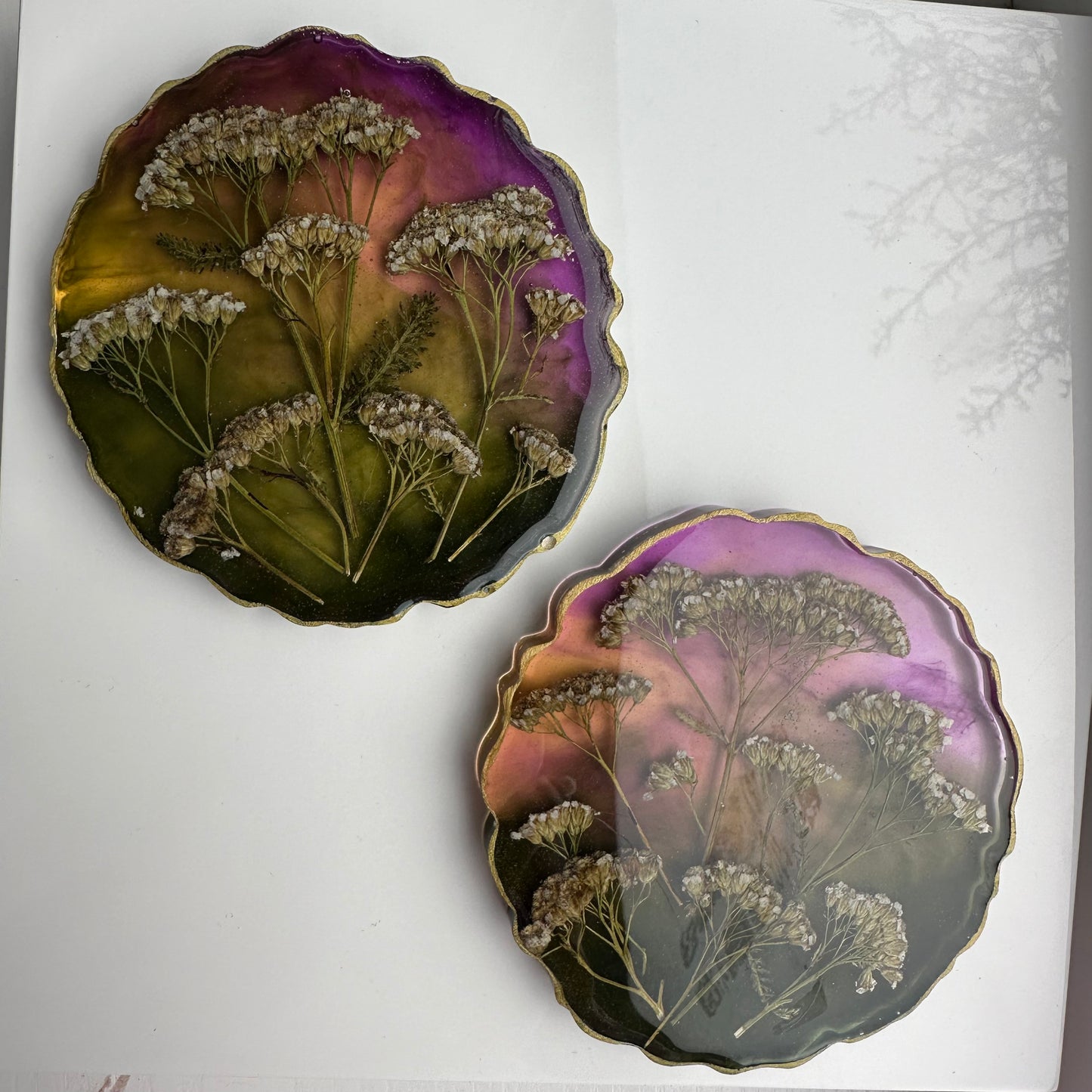 Mazie paliknīši “Pelašķi”