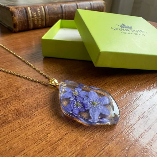 Kuloniņš | Zilās vizbulītes