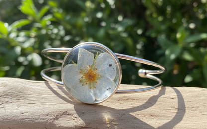 Aproce | Meža zemene