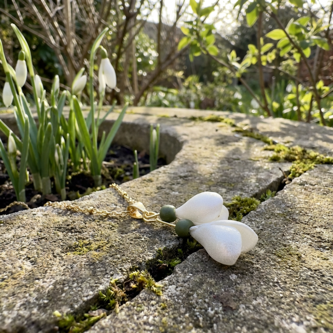 Kuloniņš | Sniegpulkstenīši